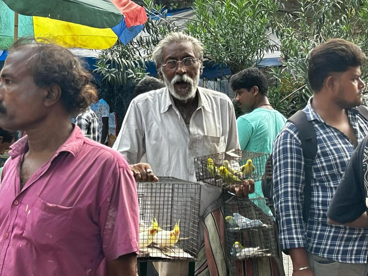 Buying-and-selling-is-going-on-at-the-animal-market-Hindol-Sen-Chatterjee-1