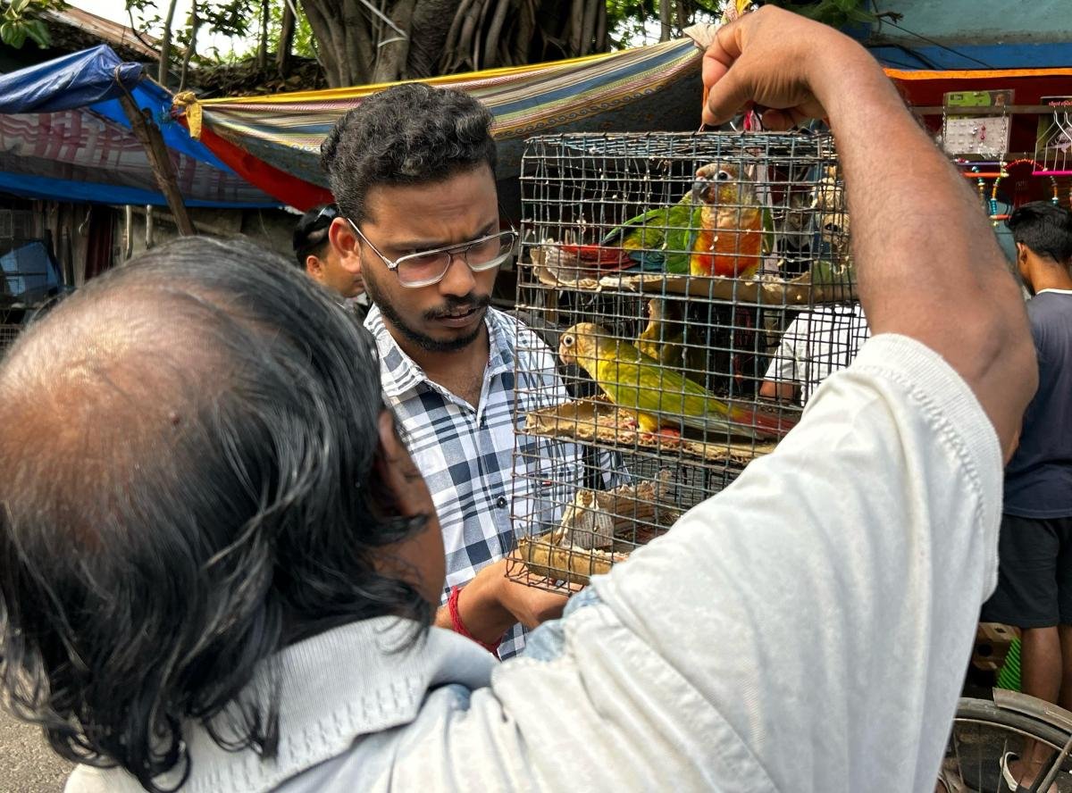 Buying-and-selling-is-going-on-at-the-animal-market-Hindol-Sen-Chatterjee-4