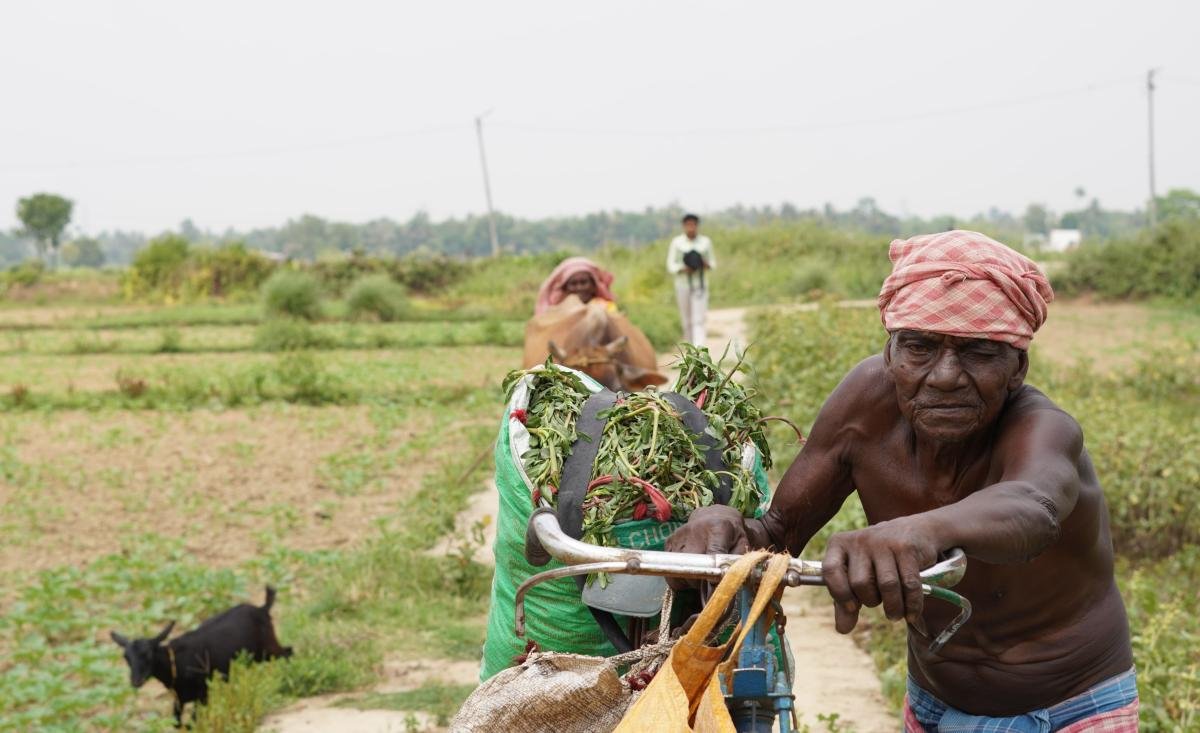Despite-the-scorching-heat-of-summer-there-is-no-end-to-poverty-Anish-Mal-1