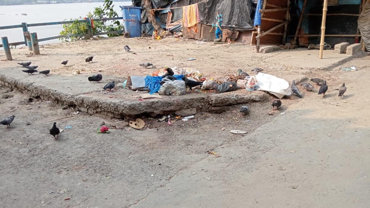 Dirt-is-accumulating-on-the-roadside-the-environment-is-being-polluted-Neha-Banerjee-1