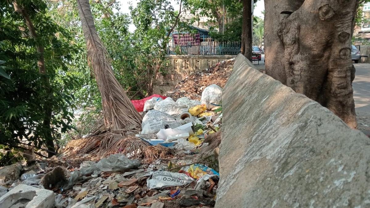 Dirt-is-accumulating-on-the-roadside-the-environment-is-being-polluted-Neha-Banerjee-4