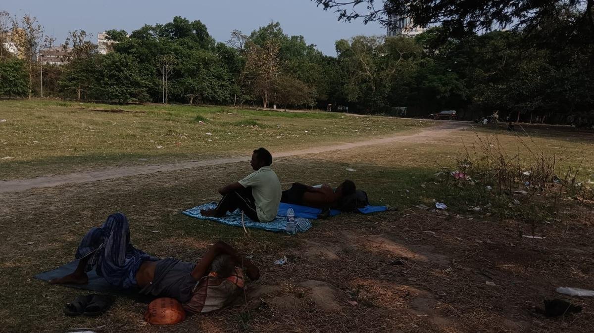 If-you-dont-want-to-rest-then-you-should-sleep-under-a-tree-today-Shraddha-Das-2