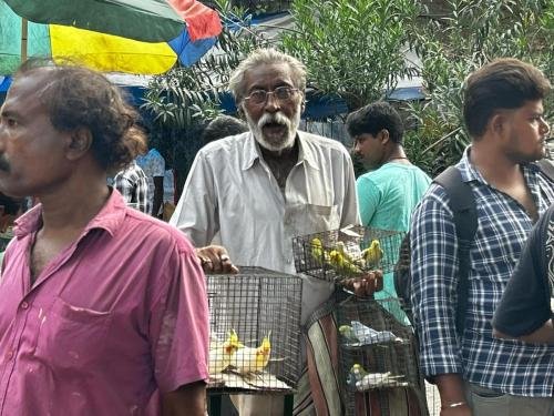 Buying-and-selling-is-going-on-at-the-animal-market-Hindol-Sen-Chatterjee-1