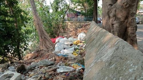 Dirt-is-accumulating-on-the-roadside-the-environment-is-being-polluted-Neha-Banerjee-4